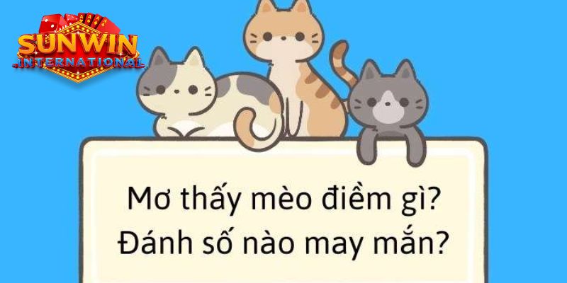 Khi mơ về mèo thì nên đánh con gì may mắn